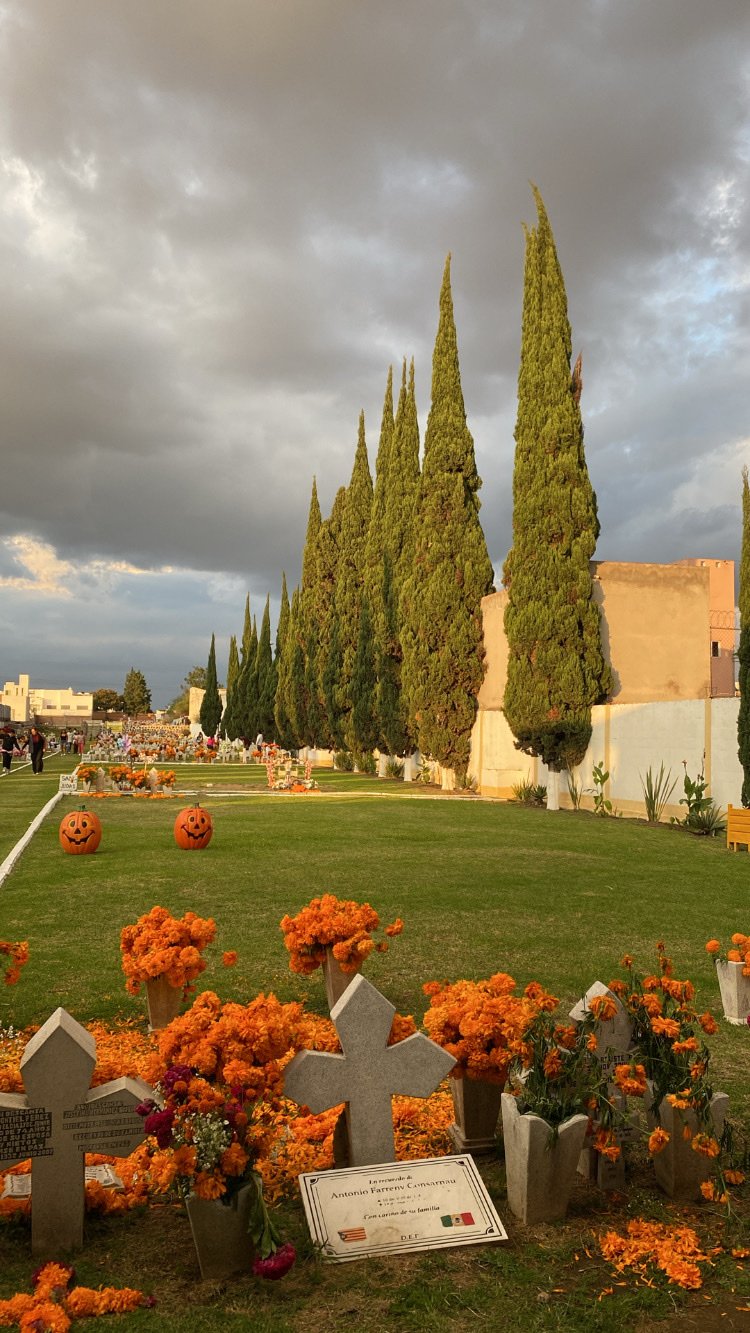 Cruces adornadas con cempasúchil bajo el cielo del atardecer en Sacro Memorial