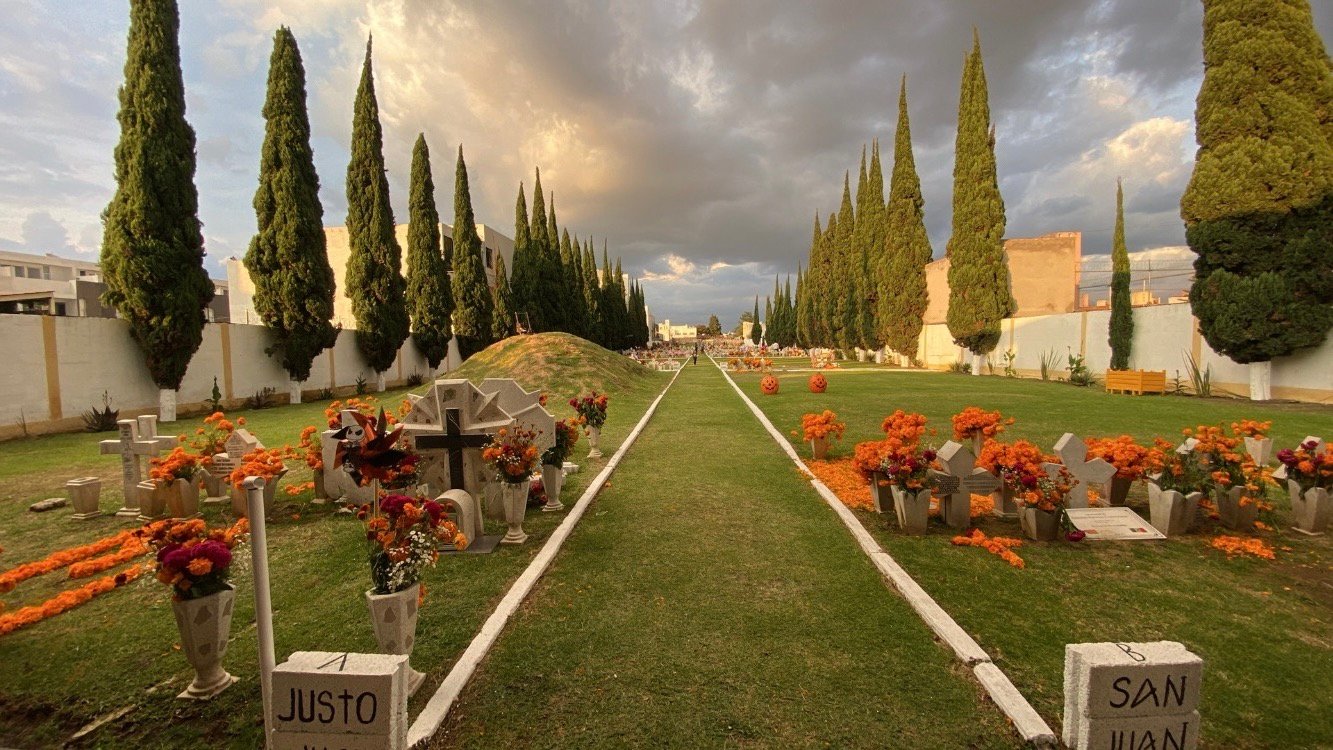 Avenida central de los jardines adornada con flores de cempasúchil en Día de Muertos